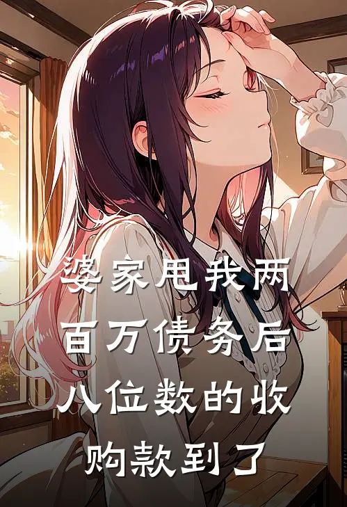 婆家甩我两百万债务后，八位数的收购款到了