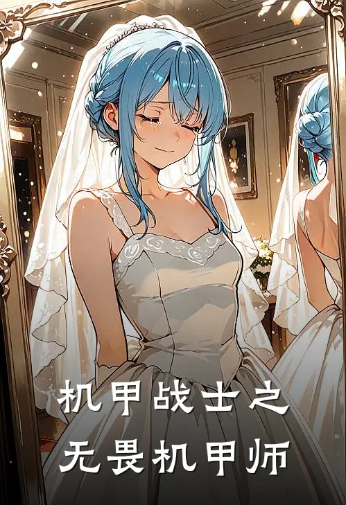 机甲战士之无畏机甲师